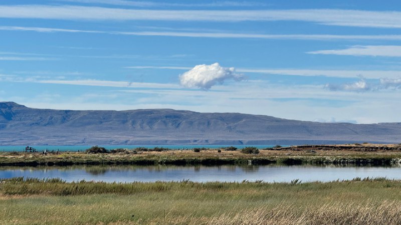 Эль-Калафате · 6